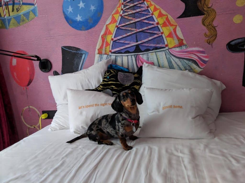 25Hours Hotel the Best Dogfriendly Hotel in Vienna