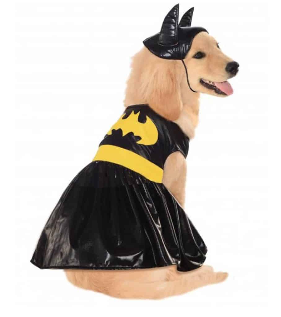 Batgirl superhero dog costume, available on Baxterboo