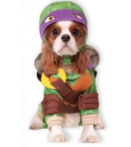 Ninja Turtles Donatello superhero dog costume, available on Baxterboo