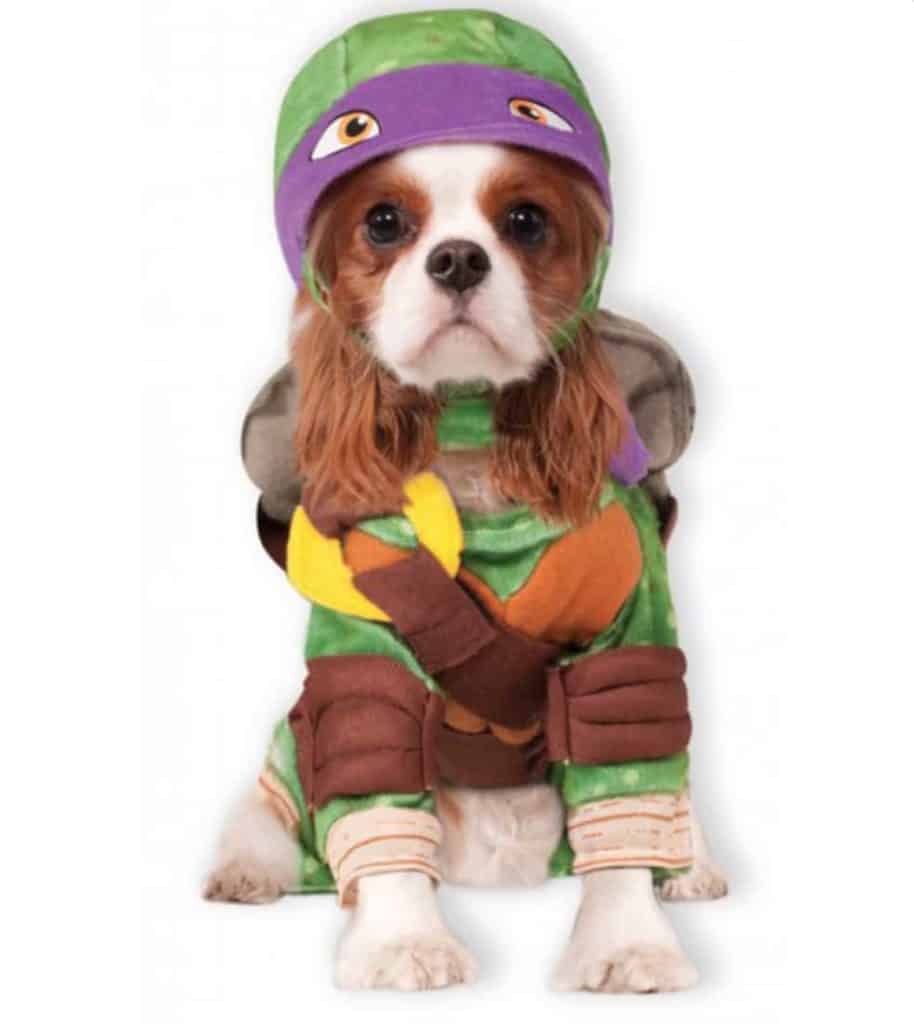 tortue ninja violette donatello costume pour chien halloween