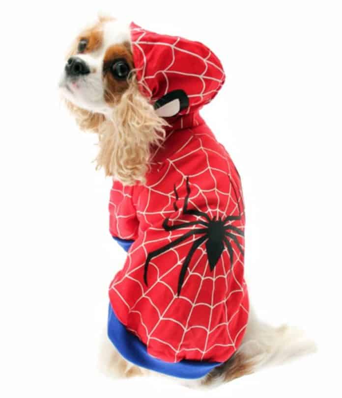 The Best Superhero Dog Costumes for Halloween 2019
