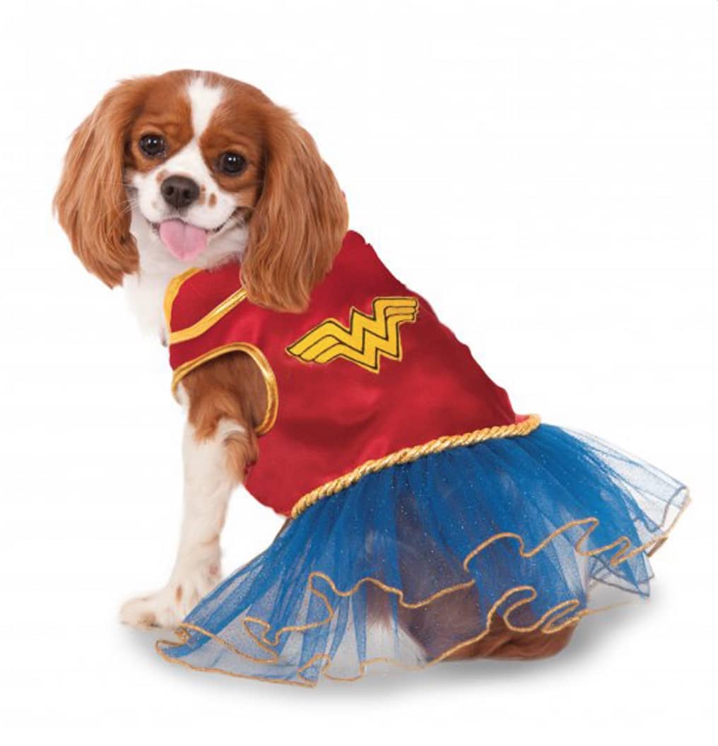 Superhero Dog Costume
 The Best Superhero Dog Costumes for Halloween 2019