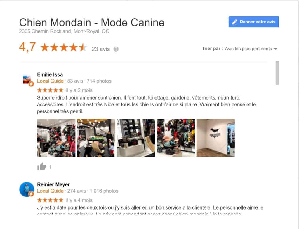 avis sur chien mondain boutique pour chien à montréal