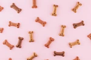 dog treats on pastel pink background