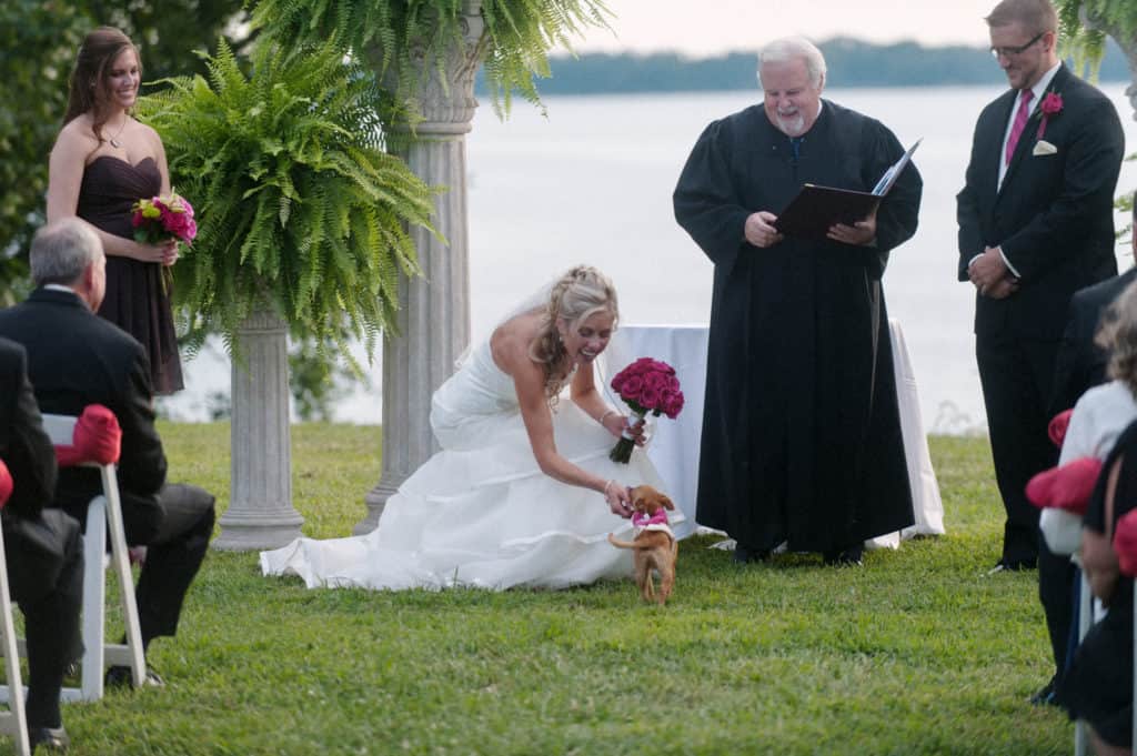 bride bending down to pet her puppy during the ceremony