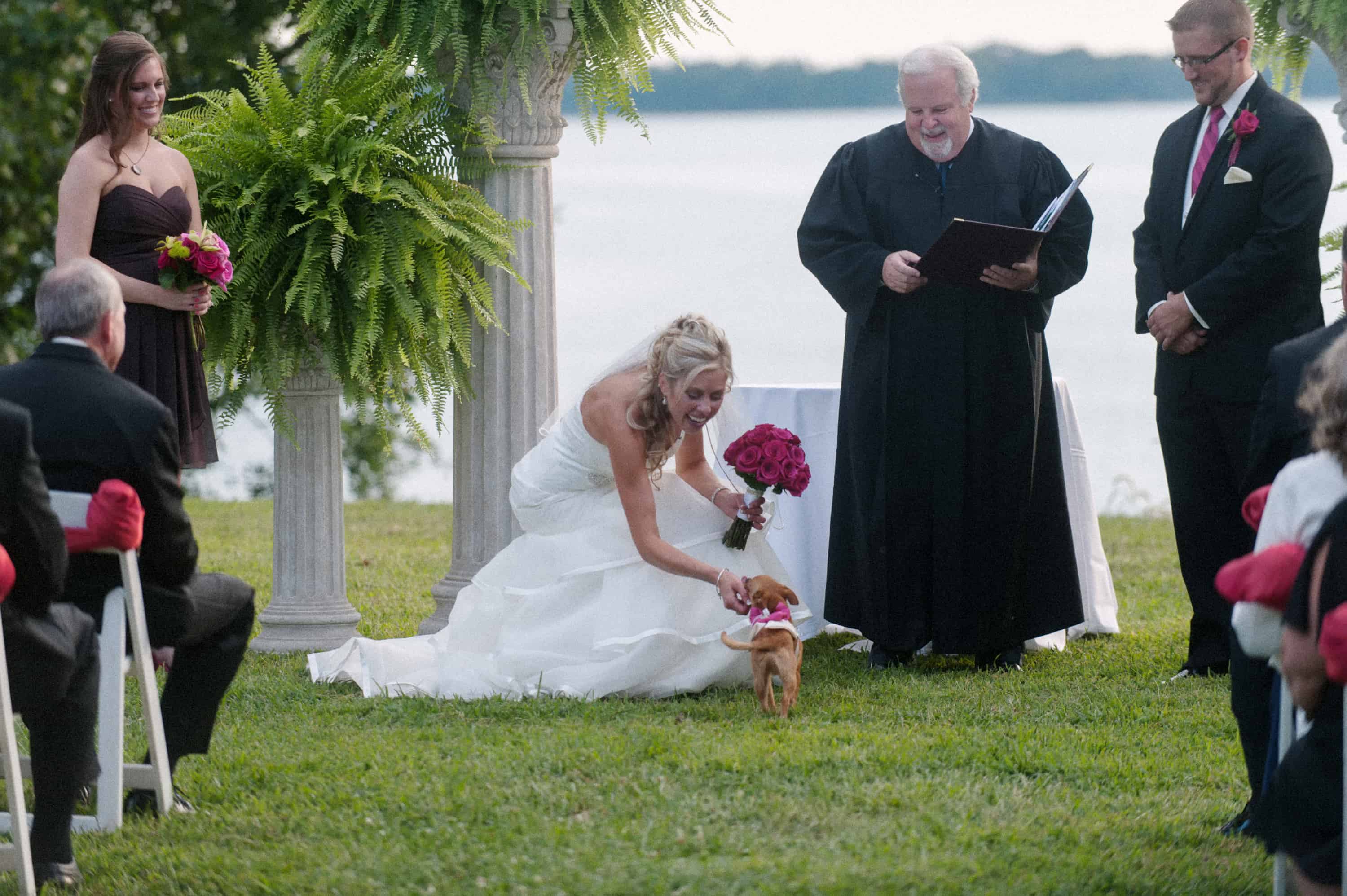bride at the alter petting her pup