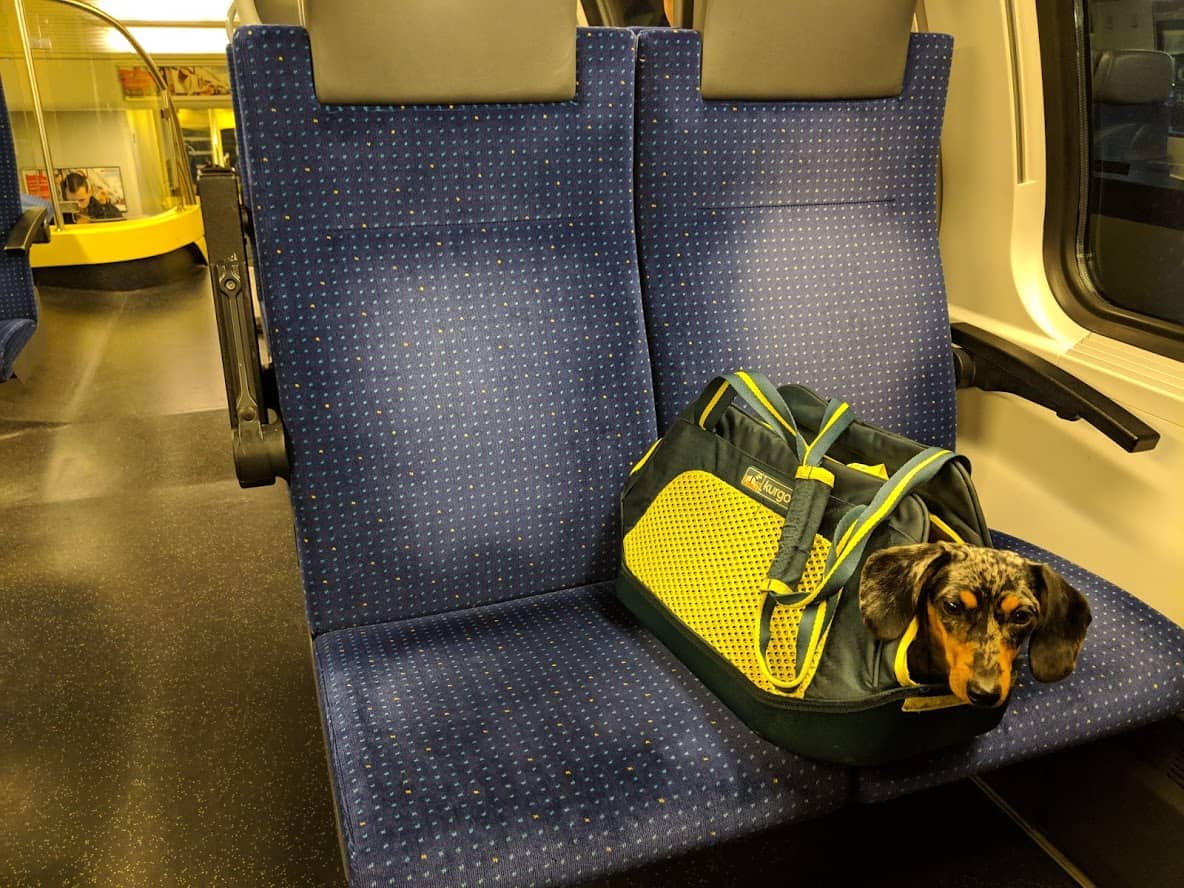 résistant à l’eau souple conforme aux lignes aériennes beige/noir porte-sac pour animal de compagnie Kurgo Sac de transport pour chien pour chat ou petit chien