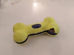 le kong squeaker bone que notre chien a détruit en quelques minutes