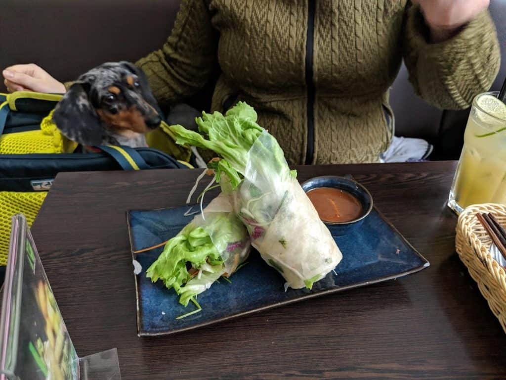 notre chien au restaurant à Berlin