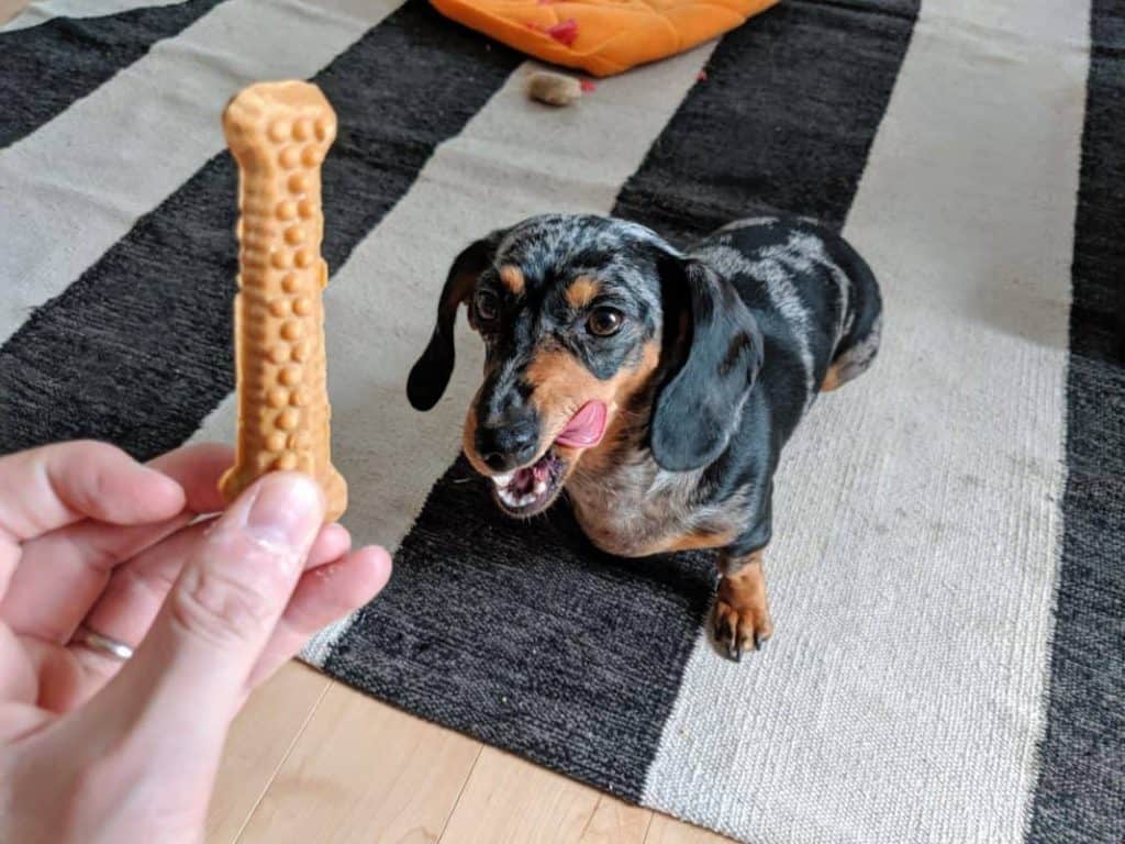 les biscuits Milk Bones sont très populaires, surtout en Amérique du Nord