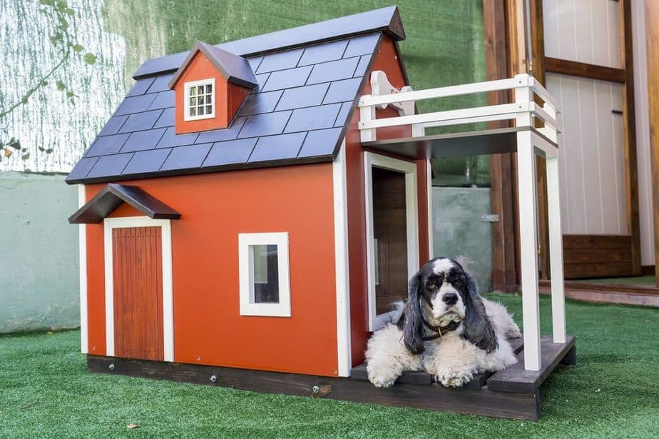 build your own DIY dog house