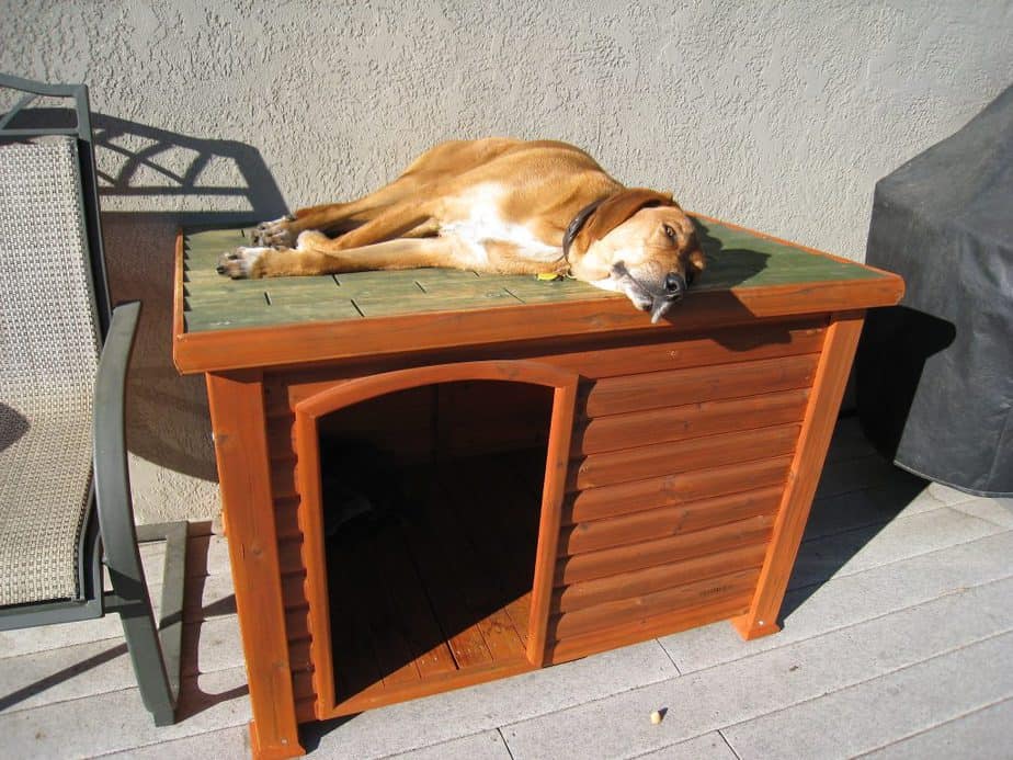 DIY dog houses doors