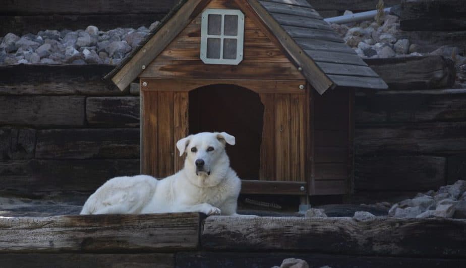 DIY dog houses made of wood