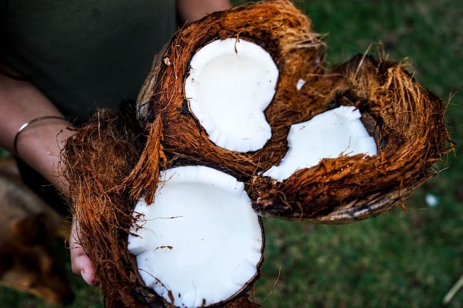 Person holding coconut but in half