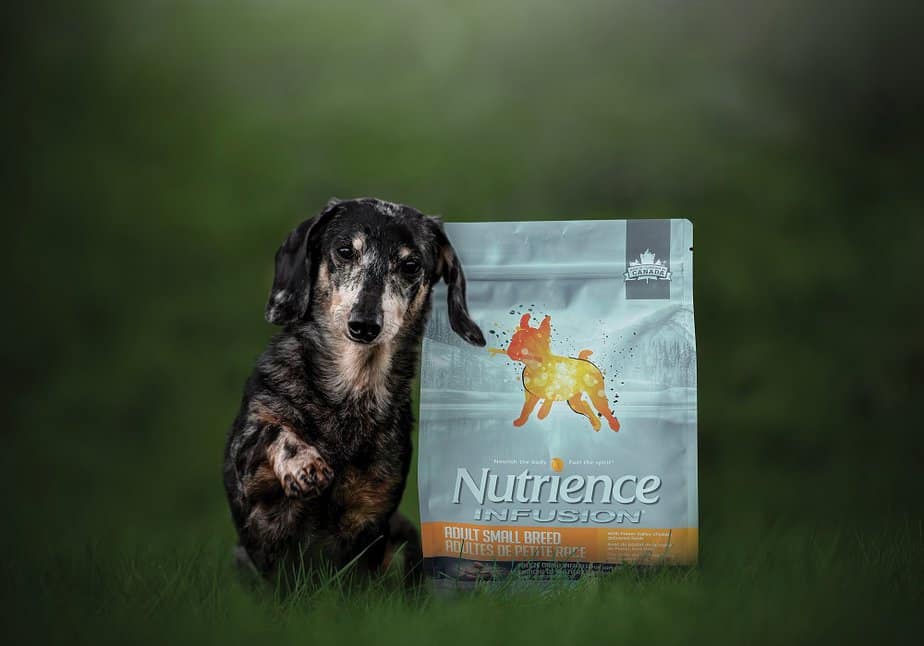 photo du paquet de la nourriture pour chien Nutrience