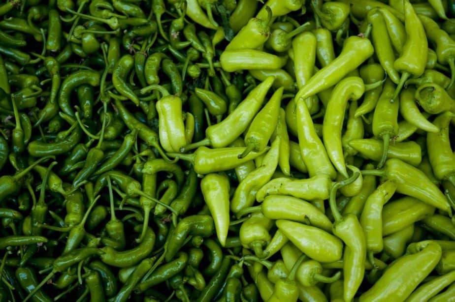 Are green peppers hot sale bad for dogs